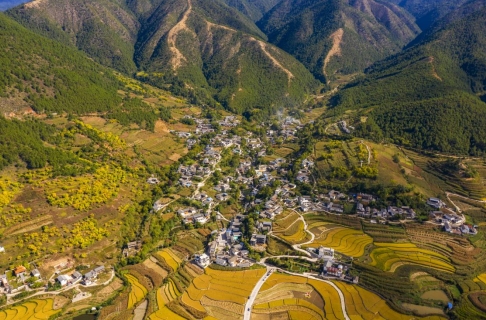 微信截图_20241122091000.png