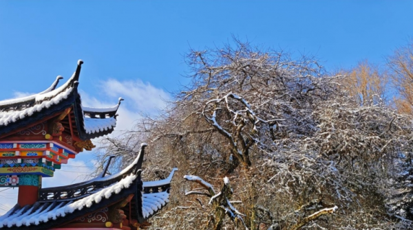 微信截图_20250324095610.png