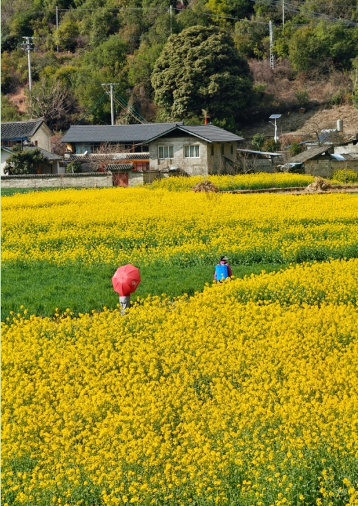 微信截图_20250324095146.png