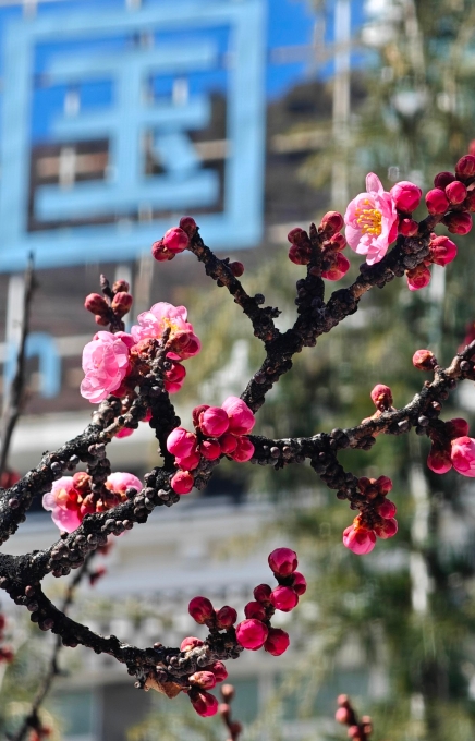 微信截图_20250324094609.png