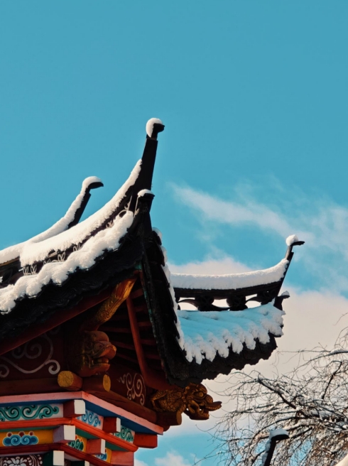 微信截图_20250324095558.png