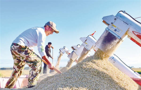 W020251001276250806259.jpg W020251001276250806259.jpg