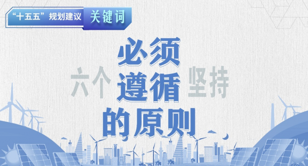 "十五五"规划建议关键词丨必须遵循的原则