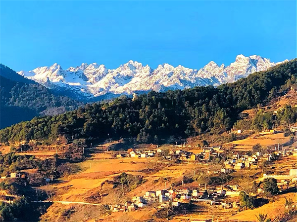 图片3.png 图片3.png