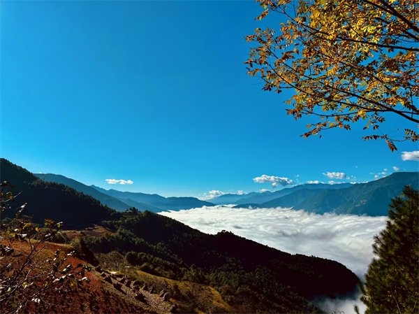 图片8.png 图片8.png