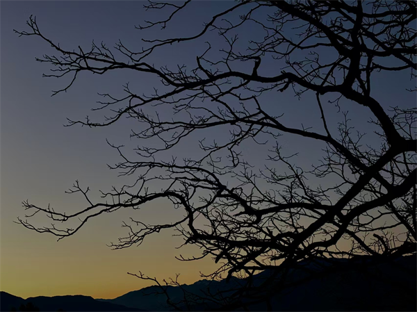 图片7.png 图片7.png