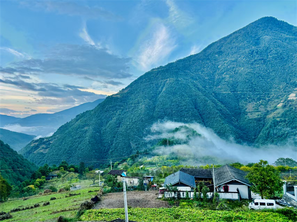 图片9.png 图片9.png