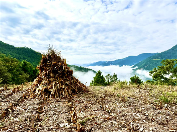 图片10.png 图片10.png