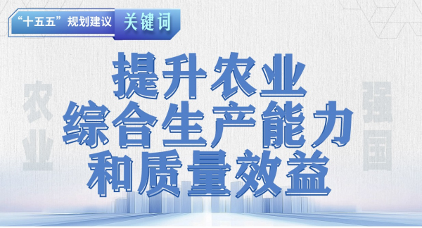 “十五五”规划建议关键词丨提升农业综合生产能力和质量效益