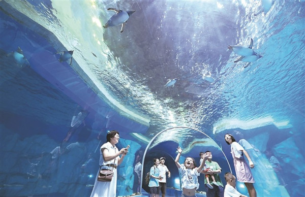 20251120090458155.jpg 20251120090458155.jpg