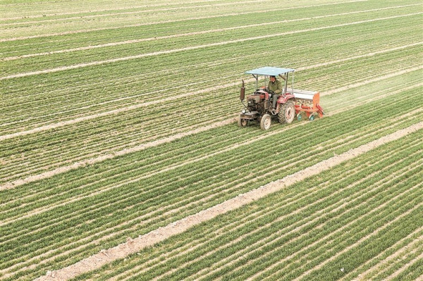 W020260226241666837317.jpg W020260226241666837317.jpg