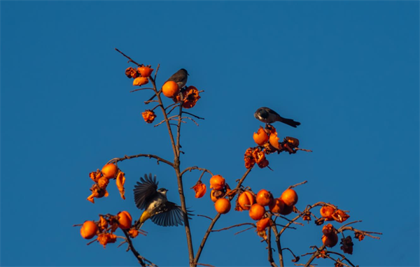 图片3.png 图片3.png