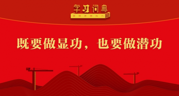 学习词典•树立和践行正确政绩观丨既要做显功，也要做潜功