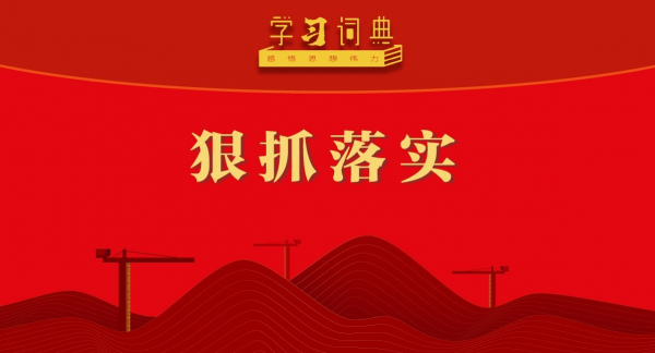 学习词典•树立和践行正确政绩观丨狠抓落实