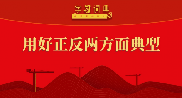 学习词典•树立和践行正确政绩观丨用好正反两方面典型