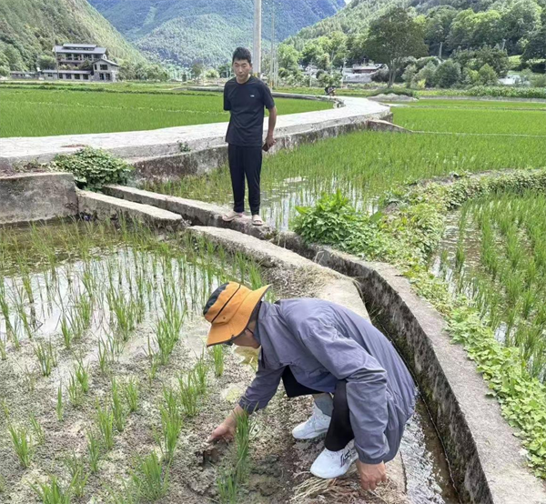 图片1.png